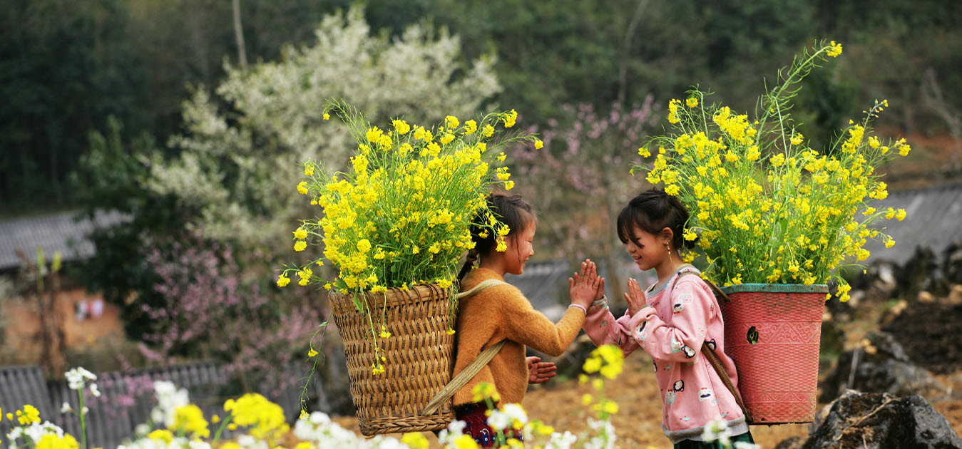 Mu Cang Chai Vietnam