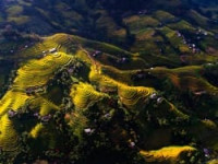 Circuit Nord Vietnam 15 jours hors des sentiers battus