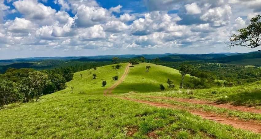 Andong Sne andong-sne