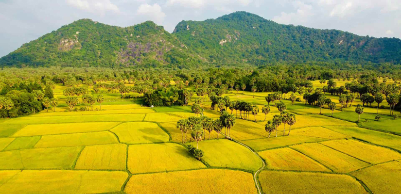 Chau-Doc-Phnom-Penh