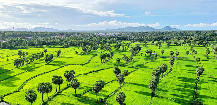Excursion-a-An-Giang