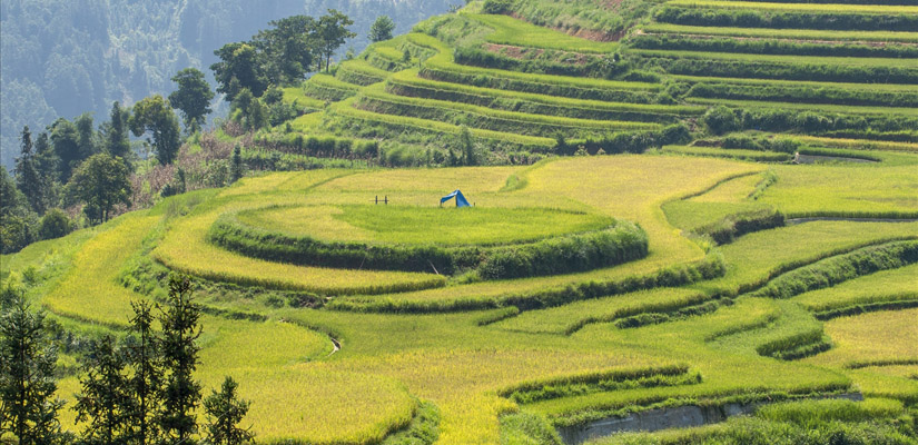Bac-Ha-Lao-Cai