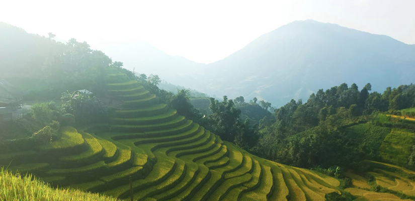 zone-de-Bac-Ha