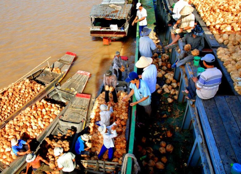 Terre-des-cocotiers-de-Ben-Tre