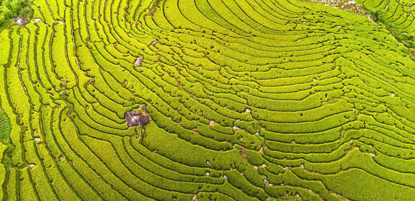 Binh-Lieu