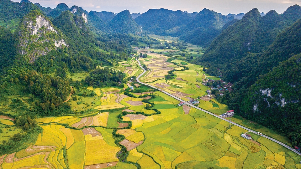 Les-rizieres-a-Cao-Bang