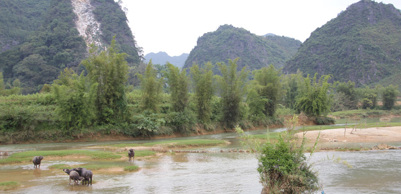 Coc-Xa-cao-Bang