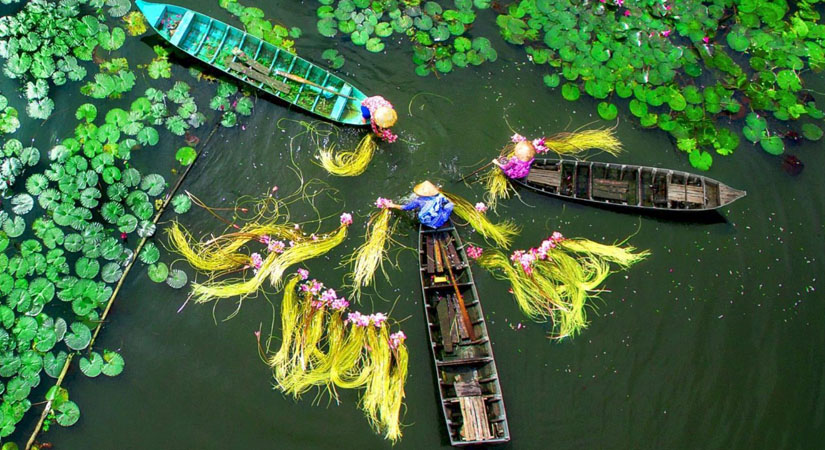 Delta-du-Mekong