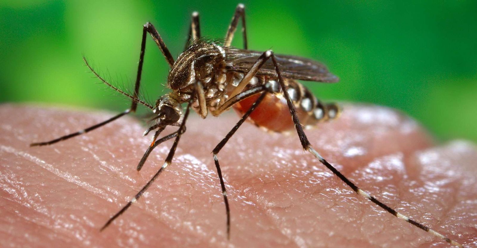 Carte-de-dengue-au-Vietnam