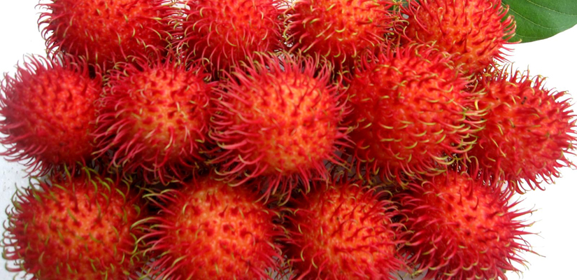 fruits-au-Vietnam