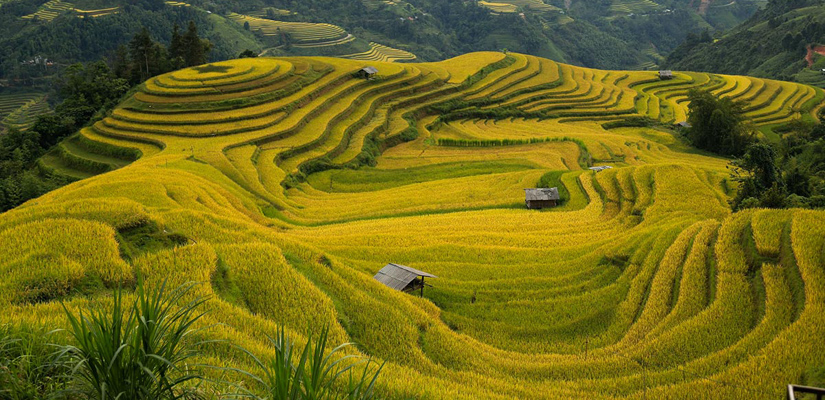 Ha-Giang