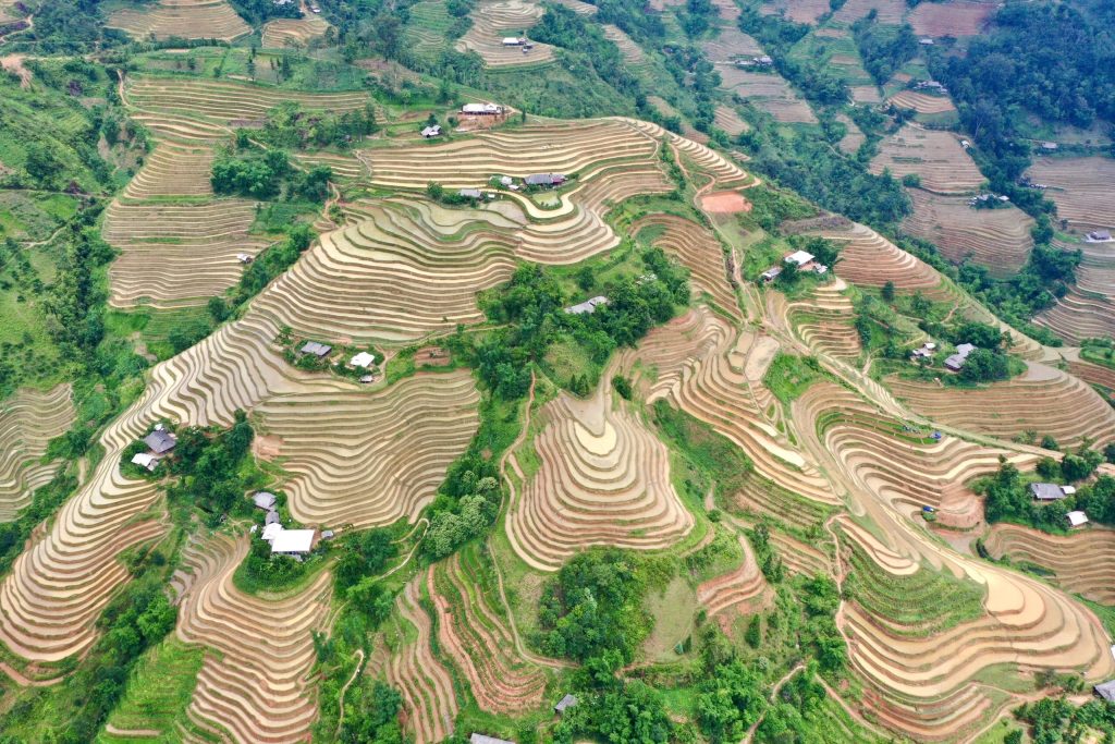 Hoang-Su_Phi