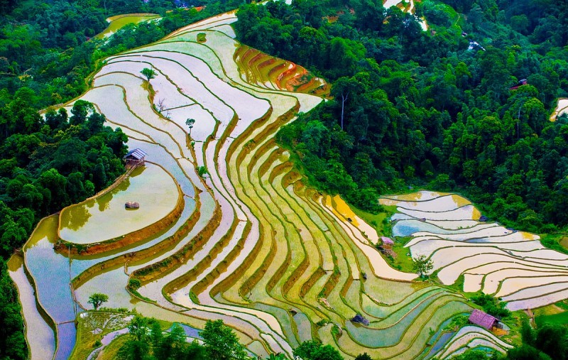 Hoang_Su-Phi