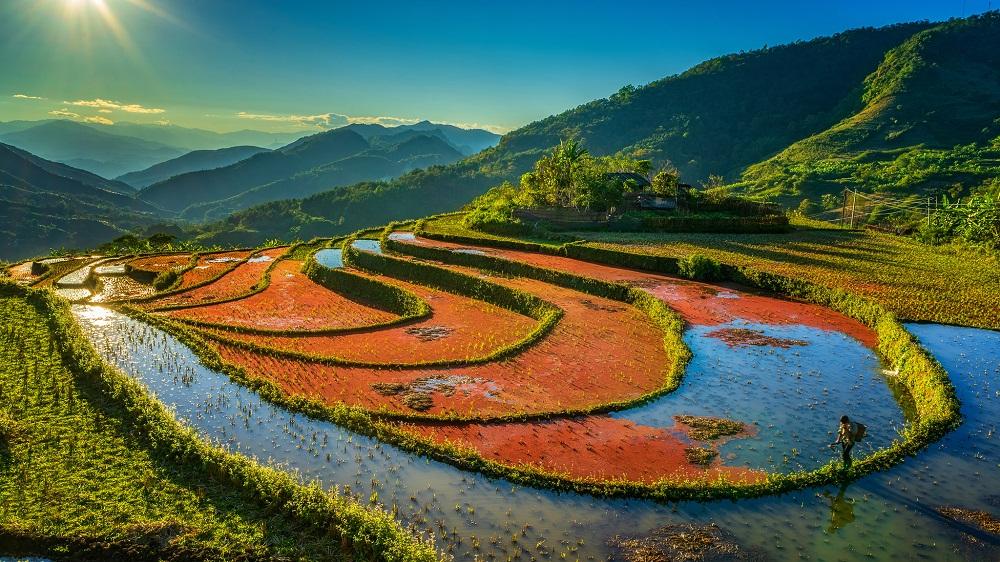 Lai-Chau