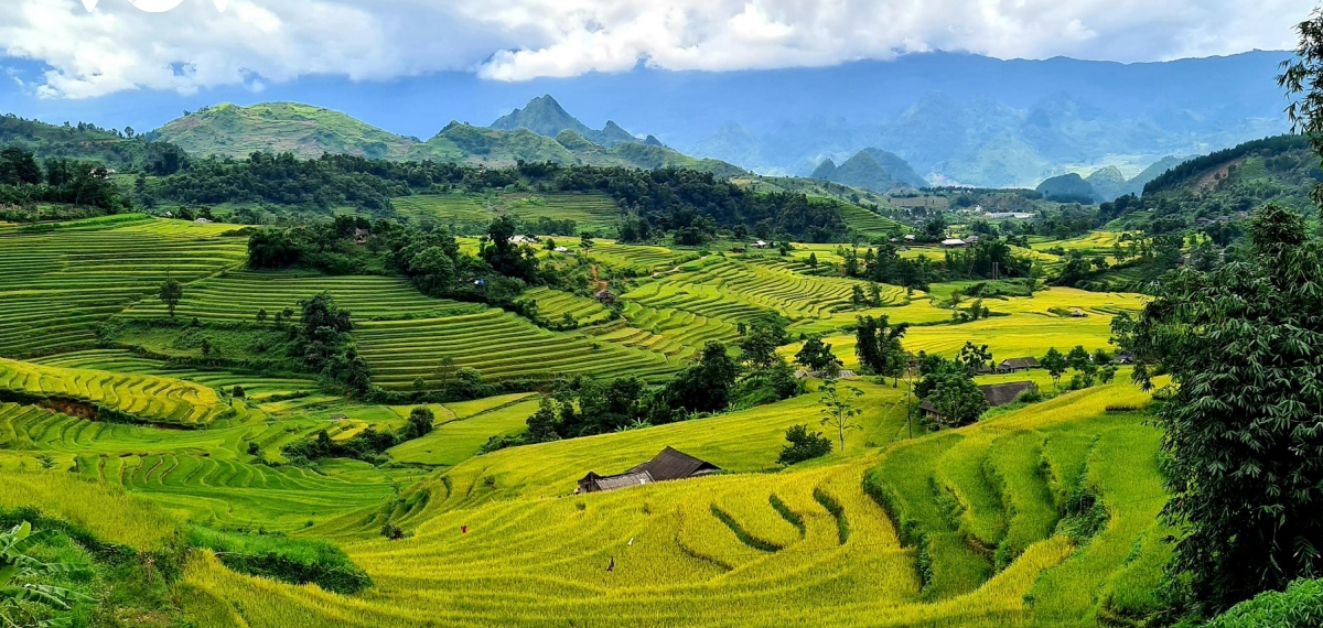 Bac-Ha