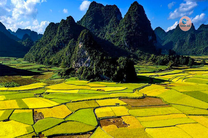 Lai-Chau