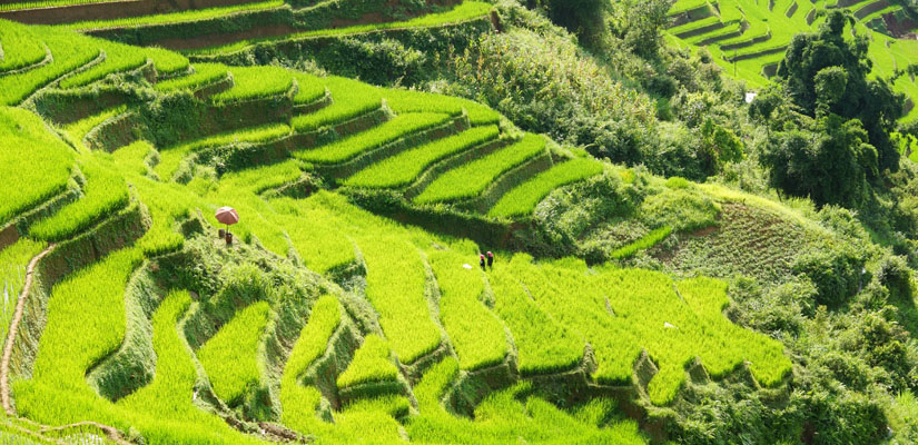 Nghia-Lo