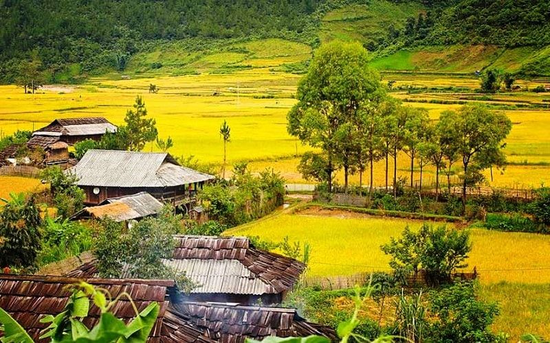 Ngoc-Chien-Son-La