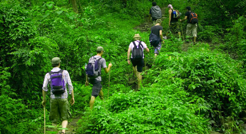 Trek-dans-le-parc-de-Phu-Quoc