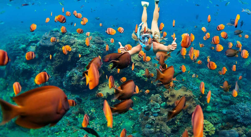diving-in-Phu-Quoc