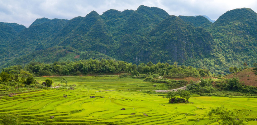 Les-rizieres-vertes-a-Pu-Luong