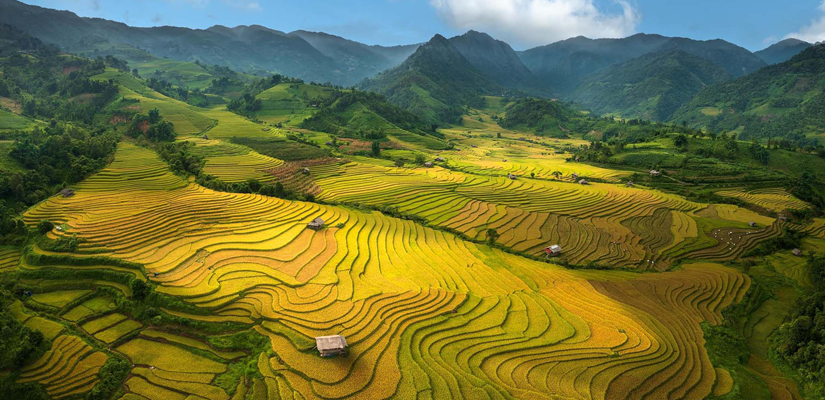 Les-rizieres-en-terrasse-a-Sapa