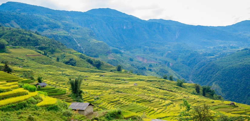 Y-Ty-Lao-Cai