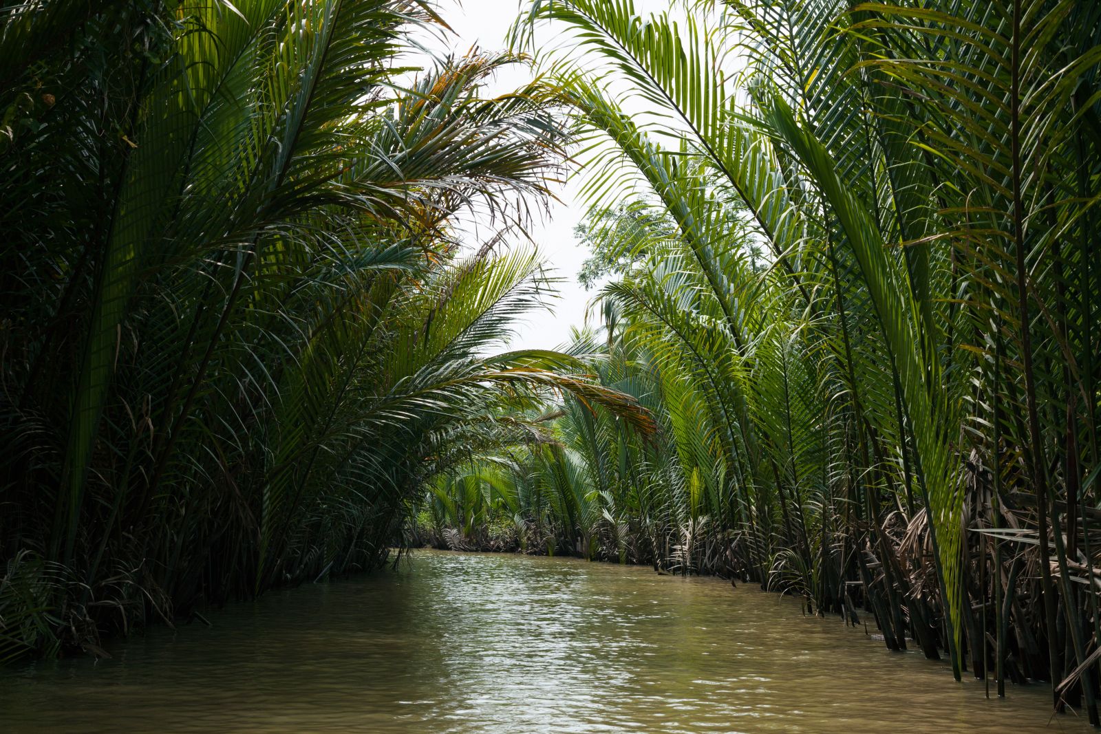 Ben-Tre-Vietnam
