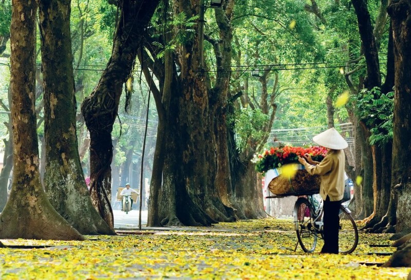 Les rues à Hanoi au petit matin sont très poétiques 