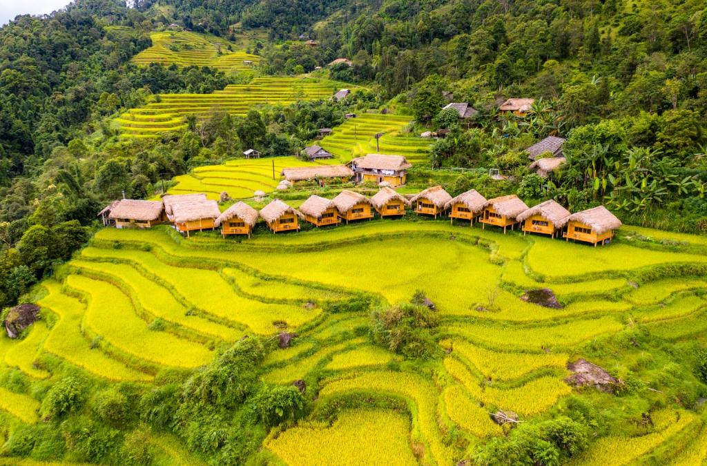 Les-rizieres-a-Hoang-Su-Phi