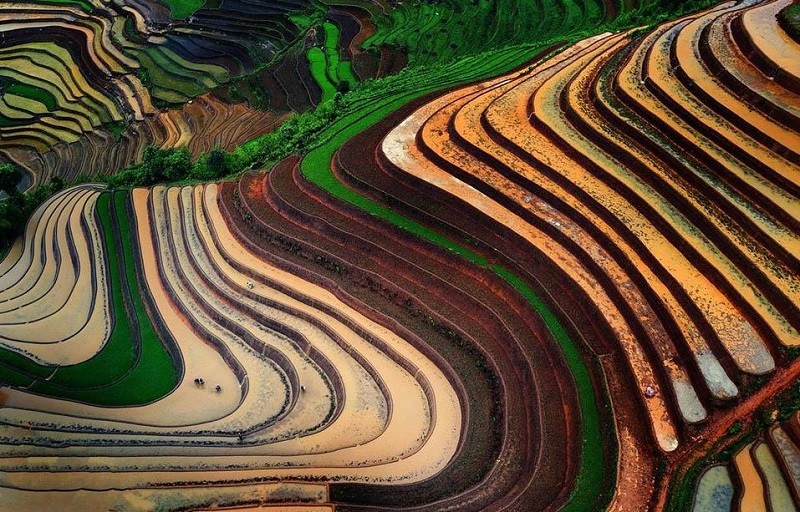 Hoang-Su-phi
