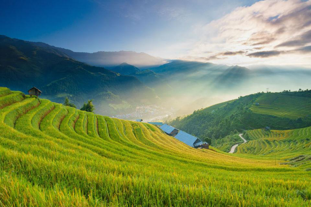 Lai-Chau