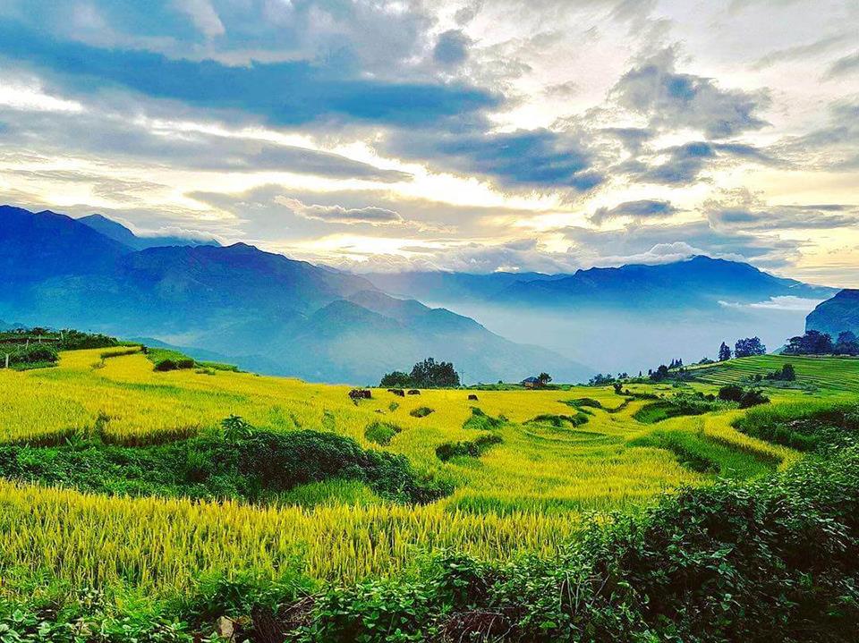 Lai-Chau