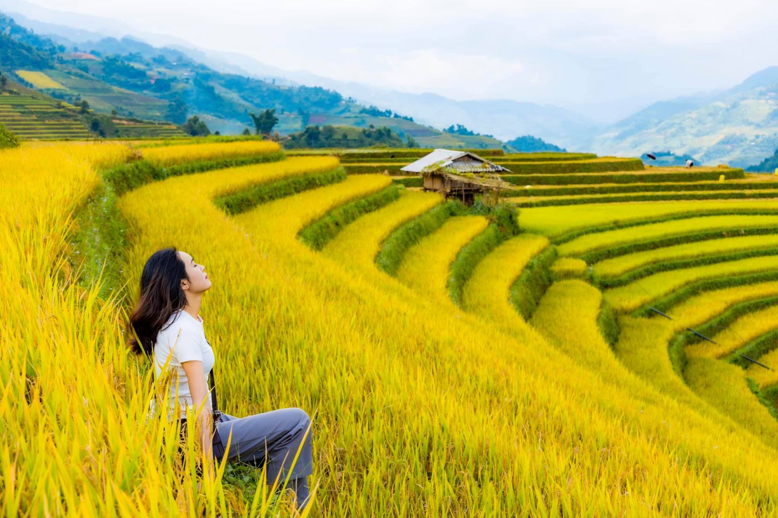 Mu-Cang-Chai