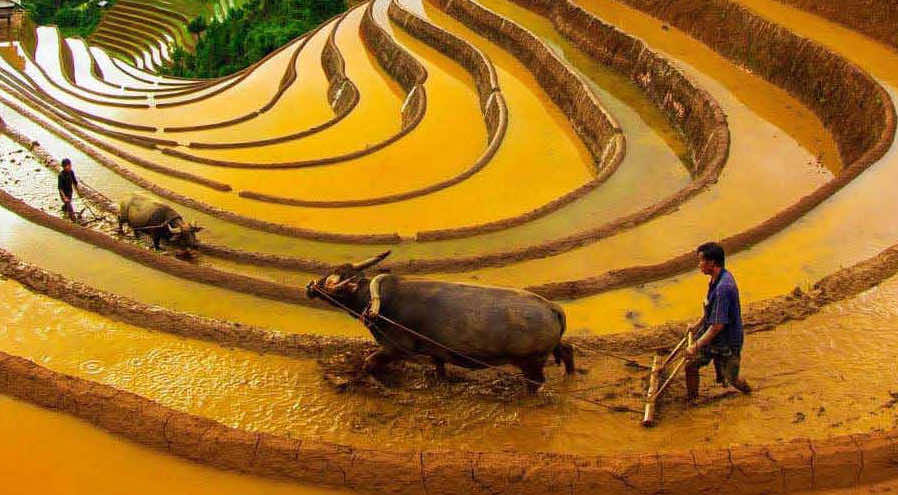 Sapa-Vietnam