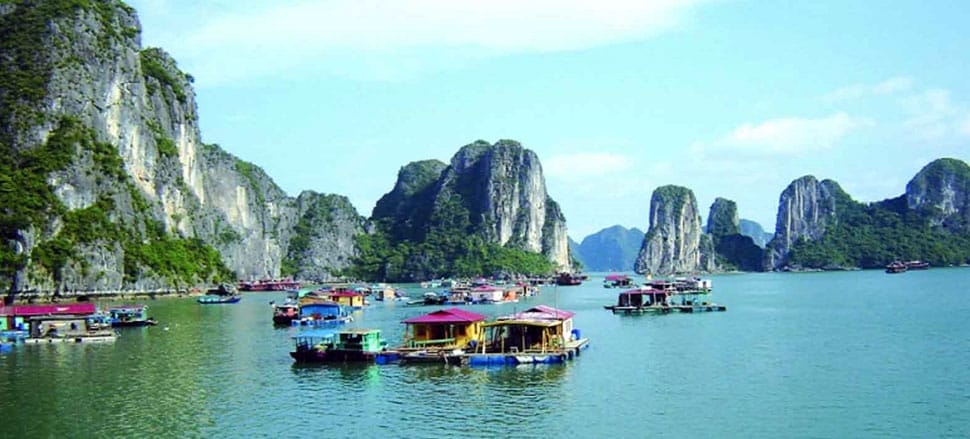 bai-tu-long