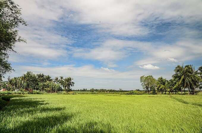 Vous pouvez visiter Ben Tre en toute saison de l'année