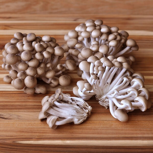 Comment choisir des champignons Shimeji frais