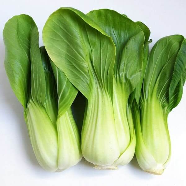 Comment choisir et acheter du chou de Chine (pakchoï) frais