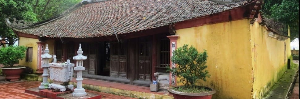 den-doi