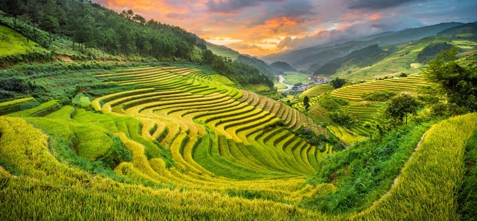 Nghia Lo