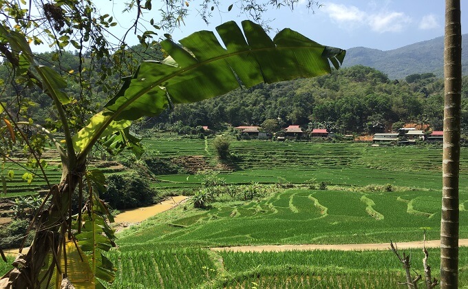 Chaque petit village à Pu Luong est un véritable parcours de randonnée