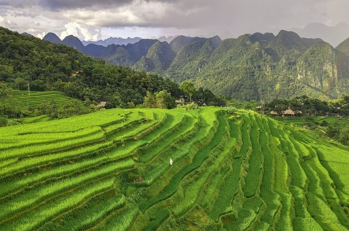 Le tapis verdoyant de Pu Luong séduit n'importe quel voyageur en venant ici