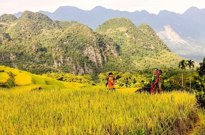 Trek au cœur de la réserve naturelle du Pu Luong