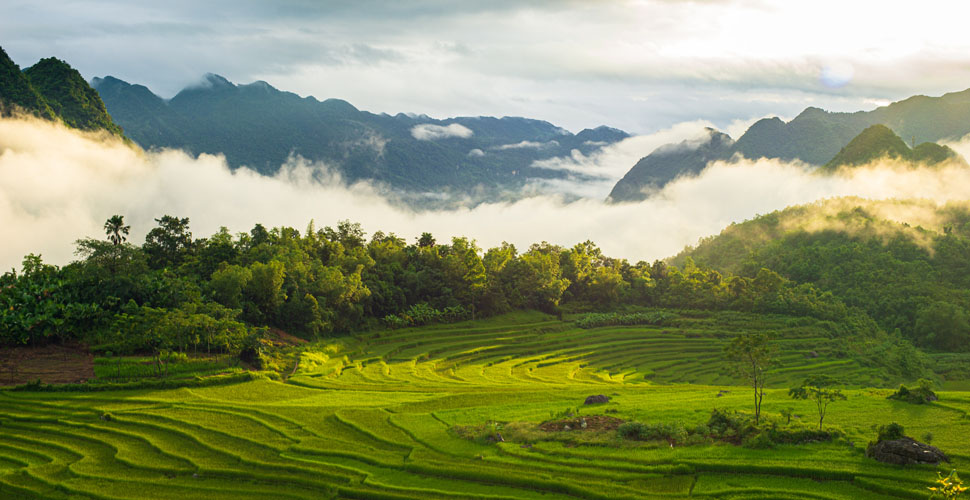 Pu Luong Thanh Hoa 