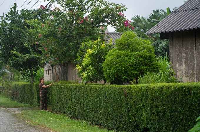 Les maison et jardins sont bien entretenus