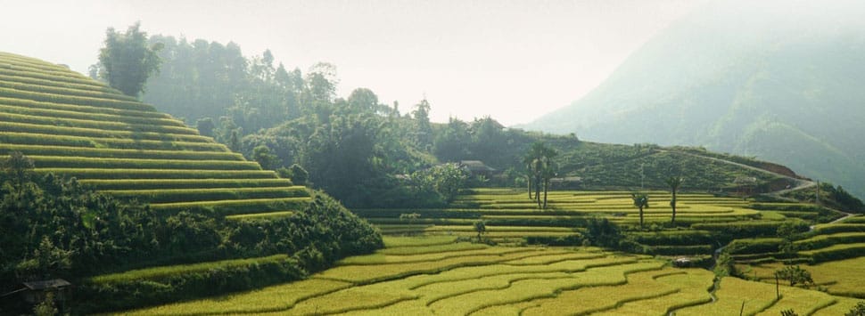 Rizières en terrasse - Bac Ha rizieres-bac-ha