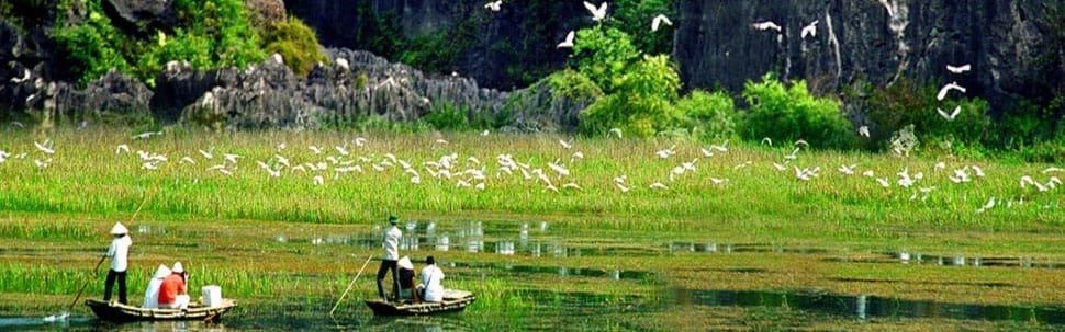 thung-nham