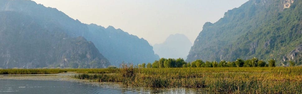van-long
