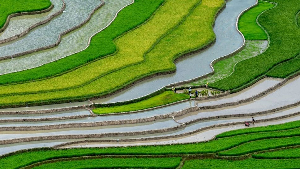 Nghia_Lo